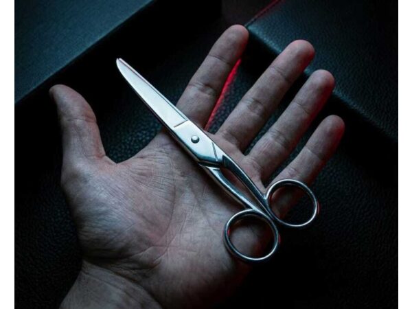SCISSORS by David Stone