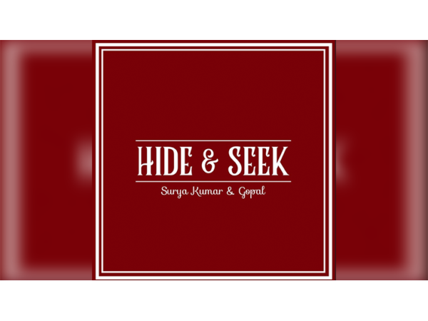Hide and Seek Wallet (Brown) By Surya Kumar and Gopal