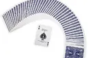 Bicycle - Supreme Line - Stripper Deck - Blue back – Bild 4