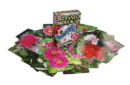 Botania Deck – Bild 2