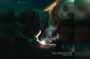 Illuminate1
