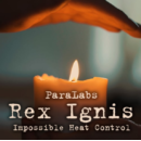 Rex Ignis - 2 Ersatz-Streichholzschachteln